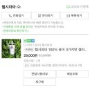 삼현농장 | 헬시파파 샐러리즙/샐러리즙 만들어먹기 두달 후기(feat.알러지)/샐러리즙추천/즙용 스파우트 파우치