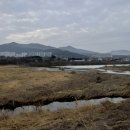 리버휠골프랜드 이미지
