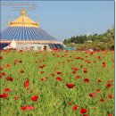 통영서커스 이미지