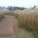 용담동 선사무덤유적 이미지