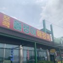 이거저거 후기2(포곡올갱이해장국, 에버랜드, 교촌치킨 블랙 시크릿 콤보, 칩카사바)