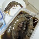 블랙타이거 | 내돈내산 여수엄마 블랙타이거 새우장 후기｜크기·맛·구성 솔직 리뷰