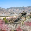 봄 - 광양시 금영로 173-1 | 봄