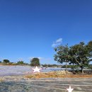 함평터미널 공인중개사사무소 이미지