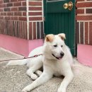 행복이 있는 정철학 이미지