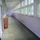 신사초등학교 이미지