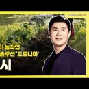 드로니아 이미지