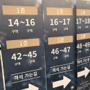 일로-5호 | 2025 성시경 콘서트 셋리스트 / 주차 팁 / R석 1층 17구역 좌석 후기 및 게스트