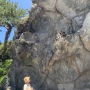 곽지하우스 민박 이미지