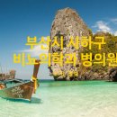 맘편한요양병원 이미지