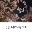 수봉도서관 | 인천 수봉공원 수봉도서관 아이랑벚꽃구경