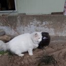 가로수민박 이미지