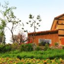 허브힐링관광펜션 이미지