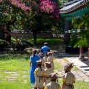 광주 장덕동 근대 한옥 이미지