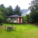 로그캐빈다래 이미지