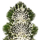 반포4동010 이미지