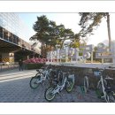 금암기적비 이미지