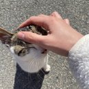 영해 식자재마트 이미지