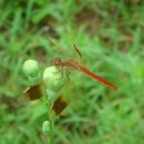 다락산장 이미지