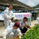 클린축산 이미지