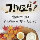 🌲늘푸른공연단♡새해 공연 일정 이미지