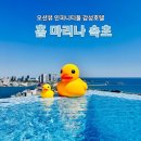 홈마리나속초호텔 | [여행.호캉스] 홈 마리나 속초호텔 오션뷰 인피니티풀 조식 석식 후기- 객실, 석식 편
