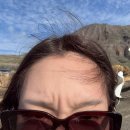 기훈농장 | Hawaii D9