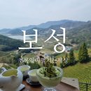 [보성] 녹차밭과 바다뷰가 멋진 카페, 초록잎이펼치는세상 후기
