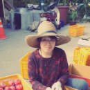 경숙농장 이미지