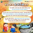 숭어리샘 타운 이미지