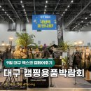 대양카 | 대구캠핑용품 박람회 2025 대구캠페어 실시간후기