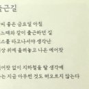 묘랑나랑 | 4월의 나