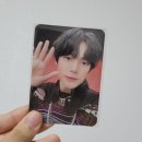 댕프로 이미지