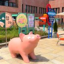 피 엘에이 이미지