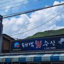 태백회수산 네이버블로그