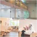 아리스타펫호텔 이미지