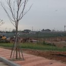 합덕체육관 이미지