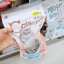 고양이입양소 | 다이소 고양이용품 후기 고양이입양 냥줍에 필요한 물품