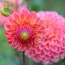 원봉산업 이미지