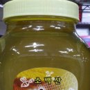 홍삼마을 - 북구 | 홍삼마을