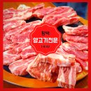 더미양 이미지