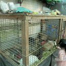 모현농장 이미지