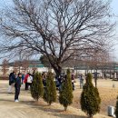 한강시민공원 쉼터 이미지