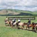 알타이항공(주) 이미지