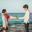 내맘보