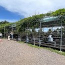 수억목장 이미지