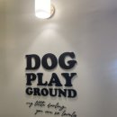 놀러오개 애견유치원 애견호텔 풍동식사점 이미지