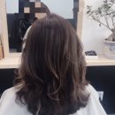 비비헤어비스 이미지