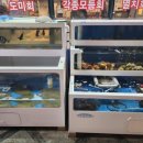 최강회포차 이미지