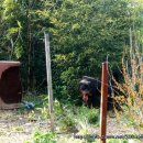 견우와 직녀농장 이미지